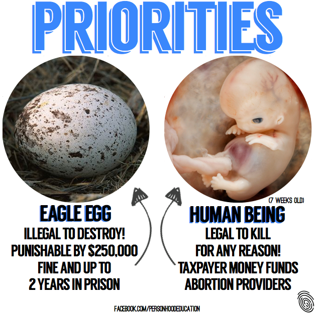 Of Eagles and Embryos | stupidbadmemes